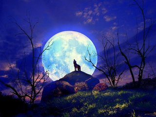 中秋夜对月