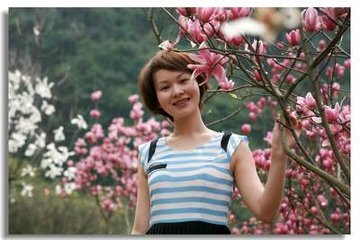 云梦泽