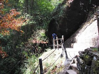 送丹霞子阮芳颜上人归山