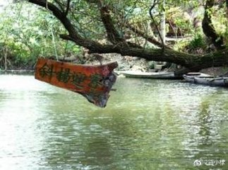 卖鱼湾