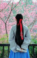 清平乐·彩云盘结