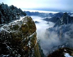 三峰府内矮柏（一作桧）十韵