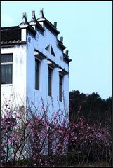 思归乐