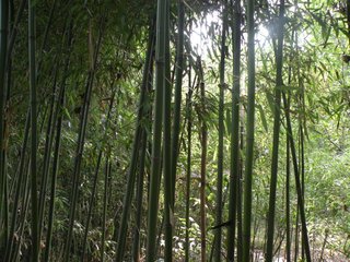 古人铸鉴