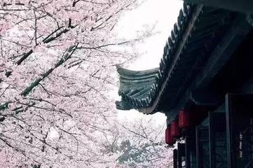 阮郎归·欲如臭腐化神奇
